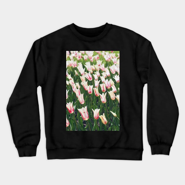 Tulips Crewneck Sweatshirt by karinelizabeth